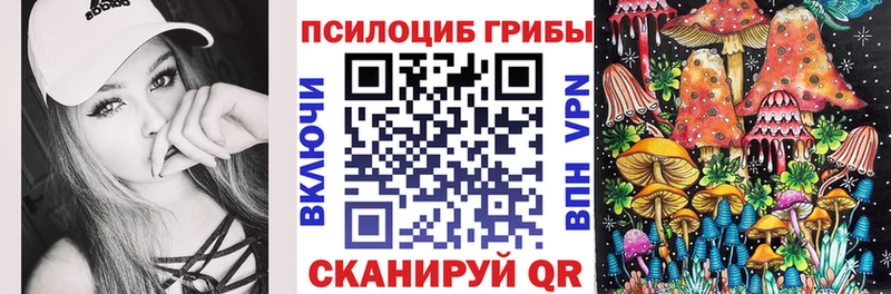 где можно купить наркотик  Краснознаменск  Псилоцибиновые грибы мухоморы 